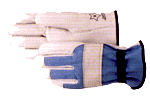 720 Goat Skin Gloves Gloves