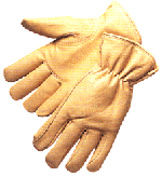 7207 Pigskin Gloves Gloves
