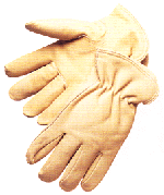 7507 Pigskin Gloves Gloves