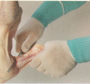 Defender Cut Resistant Gloves