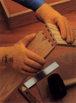 KPG PVC Gloves